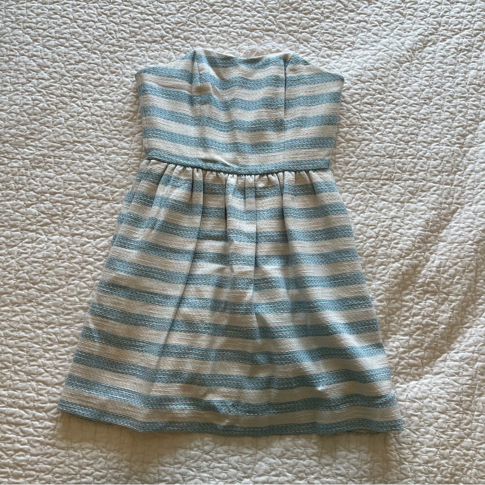 Lilly Pulitzer Blue and White Striped Mini Dress
